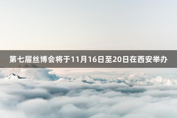 第七届丝博会将于11月16日至20日在西安举办